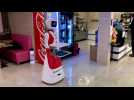 Dans le Boulonnais, un robot serveur dans un restaurant asiatique