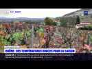 Rhône : des températures douces pour la saison