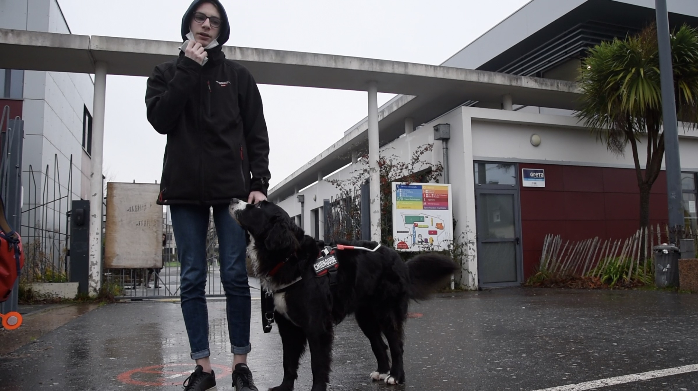 Lannion. Kilian va au lycée avec sa chienne Olfy (Le Télégramme)