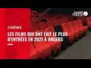 Angers. Les films qui ont fait le plus d'entrées dans les trois cinémas en 2021