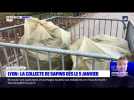 Lyon : la collecte de sapins débute le 5 janvier