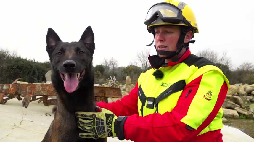 Thumbnail Un chien pour les sapeurs-pompiers des Côtes d'Armor 