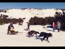 La Llagonne (66) - 3e Musher race - course de chien de traineau