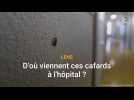 D'où viennent ces cafards à l'hôpital de Lens ?