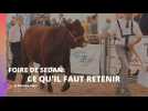 FOIRE DE SEDAN : CE QU IL FAUT RETENIR