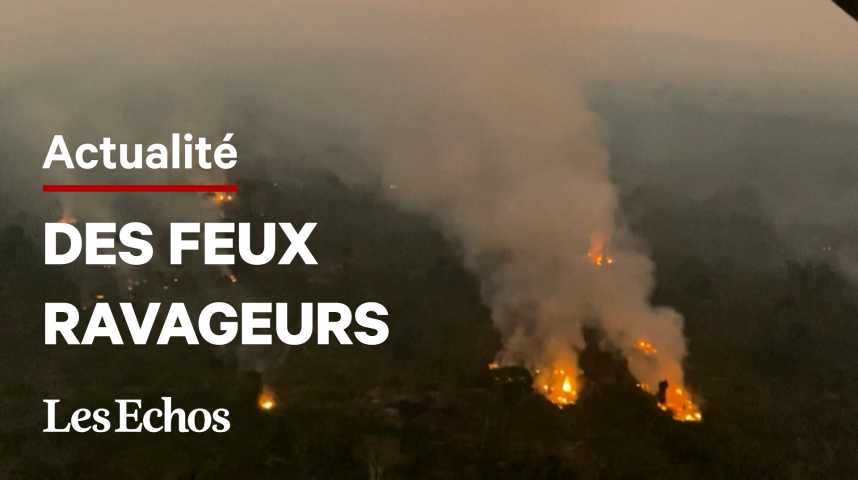 Illustration pour la vidéo L'Amazonie sous le coup d'incendies qui se multiplient