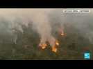 Brésil : pire mois d'août en 12 ans pour les incendies en Amazonie