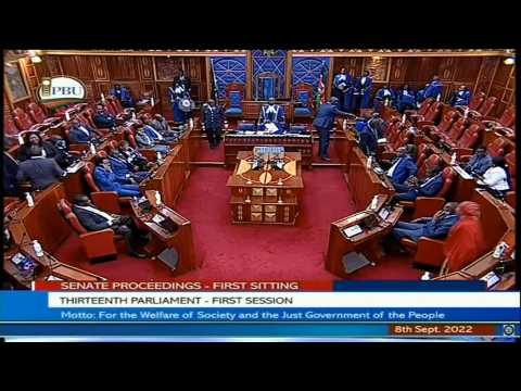 Kenya: Senate holds first session since August election