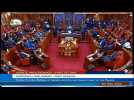 Kenya: Senate holds first session since August election