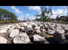 Calais : des rochers pour éviter les camps de migrants