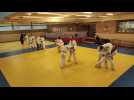 Judo (Mondiaux vétérans) : deux nouvelles médailles pour le JCAR Maubeuge