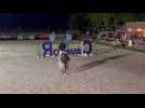 Equitation - Festival du Louchier : Frantz Ducci remporte le Masters.