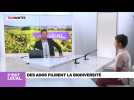 C'est Local : des ados filment la biodiversité