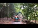 Opération de relevage des arbres coupés au Bois l'Archeveque
