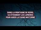 Montagne de Reims: ces communes qui éteignent les lumières pour aider la faune nocturne