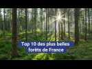 Top 10 des plus belles forêts de France