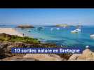 10 sorties nature en Bretagne