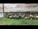 Flowers lain outside Holyrood after Queen Elizabeth II's death