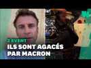 Ces streameurs du ZEvent n'ont pas épargné Macron