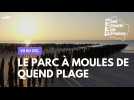 Vu du ciel : Le parc à moules de Quend Plage