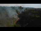 Fires ravage Brazil's Amazon rainforest