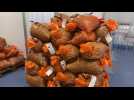 Braderie : les moules s'arrachent chez les revendeurs