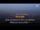 Ecologie : que proposent les candidats Macron et Le Pen ?