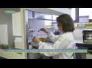Laboratoire Eva : des contrôles alimentaires pour protéger les collégiens de la Haute-Garonne des bactéries