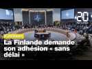 Otan : La Finlande bientôt dans l'Alliance ?