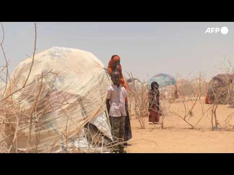 Worst drought in decades devastates Horn of Africa