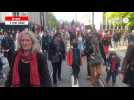 VIDÉO. Plus de 1500 personnes à la manifestation du 1er mai à Brest
