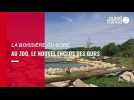 VIDEO. Au zoo de La Boissière-du-Doré, un nouvel enclos pour les ours
