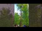 Ardennes: un parapentiste coincé dans un arbre à 20 m de haut