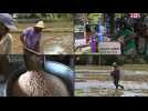 Sri Lanka rice farmers reel after failed organic push