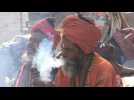 Cannabis: le Népal envisage la légalisation de son 