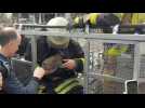 Ukraine: des pompiers sauvent un chat d'un bâtiment détruit