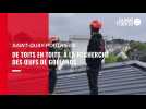 VIDÉO. Reportage sur les toits de Saint-Quay-Portrieux, à la recherche des nids de goélands pour stériliser les oeufs