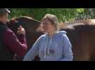 Le Horse Koncept pour le bien-être étudiant