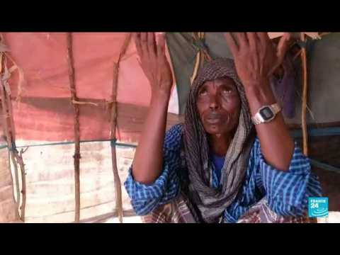 Horn of Africa drought drives 20 million towards hunger