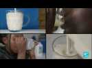 Rwanda : la production de lait a explosé ces 20 dernières années