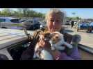 Ukraine: dans sa vieille voiture, Olga transporte ses chatons loin des bombardements