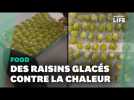 Sucrer et congeler des raisins, une recette rafraîchissante pendant les fortes chaleurs