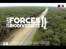 Protéger et restaurer la biodiversité