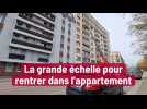 La grande échelle pour rentrer dans l'appartement