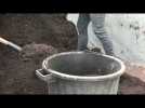 Le compost, l'or noir du jardin en distribution gratuite !