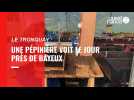 VIDEO. Près de Bayeux, la pépinière Les Bons plants d'Élise voit le jour