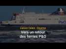 Liaison Calais - Douvres : vers un retour des ferries P&O
