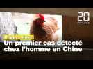 Grippe aviaire H3N8: Un premier cas détecté chez l'homme en Chine