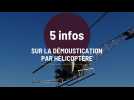 5 infos sur la démoustication par hélicoptère