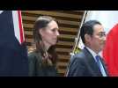 Japan holds honour guard ceremony for visiting New Zealand PM Jacinda Ardern